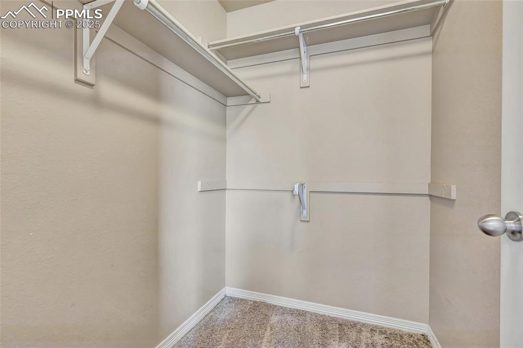 Image 40 of 50: Walk in closet with carpet flooring