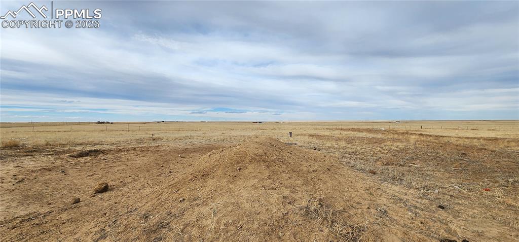 Image 19 of 21: Other