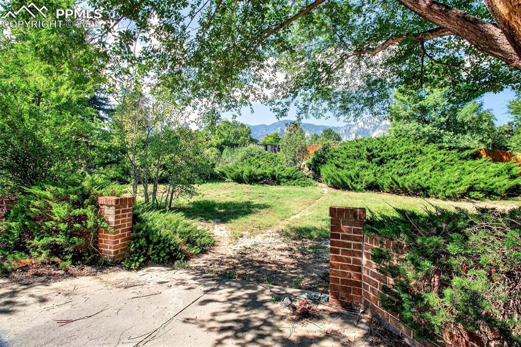 Image 35 of 44: Backyard