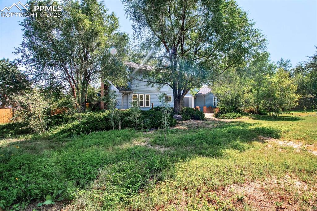 Image 38 of 44: Backyard