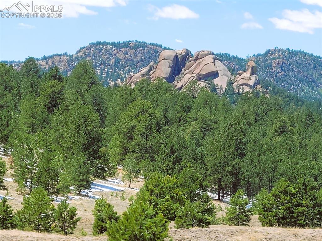 Image 12 of 24: View