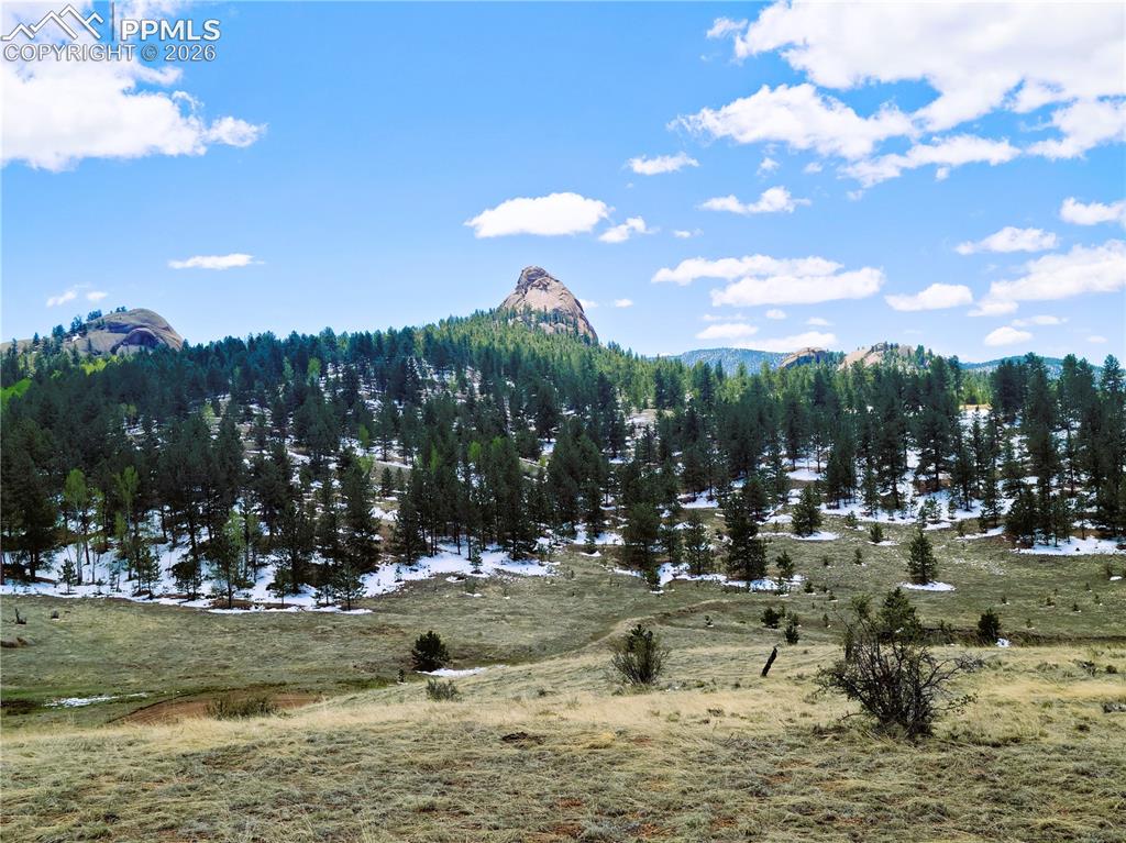 Image 4 of 24: View