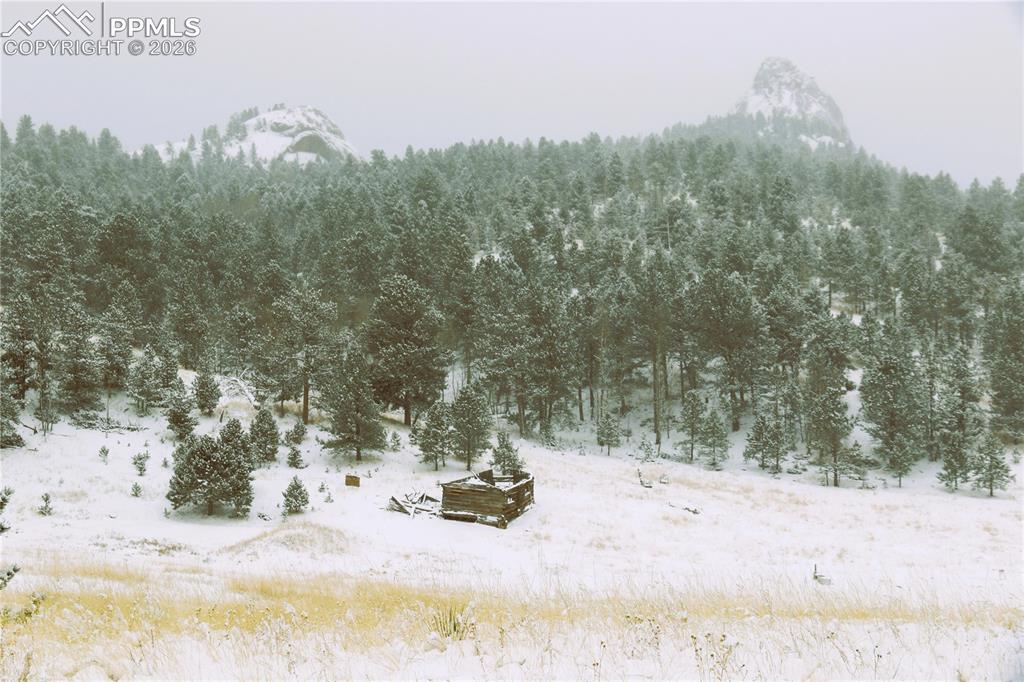 Image 6 of 24: Other