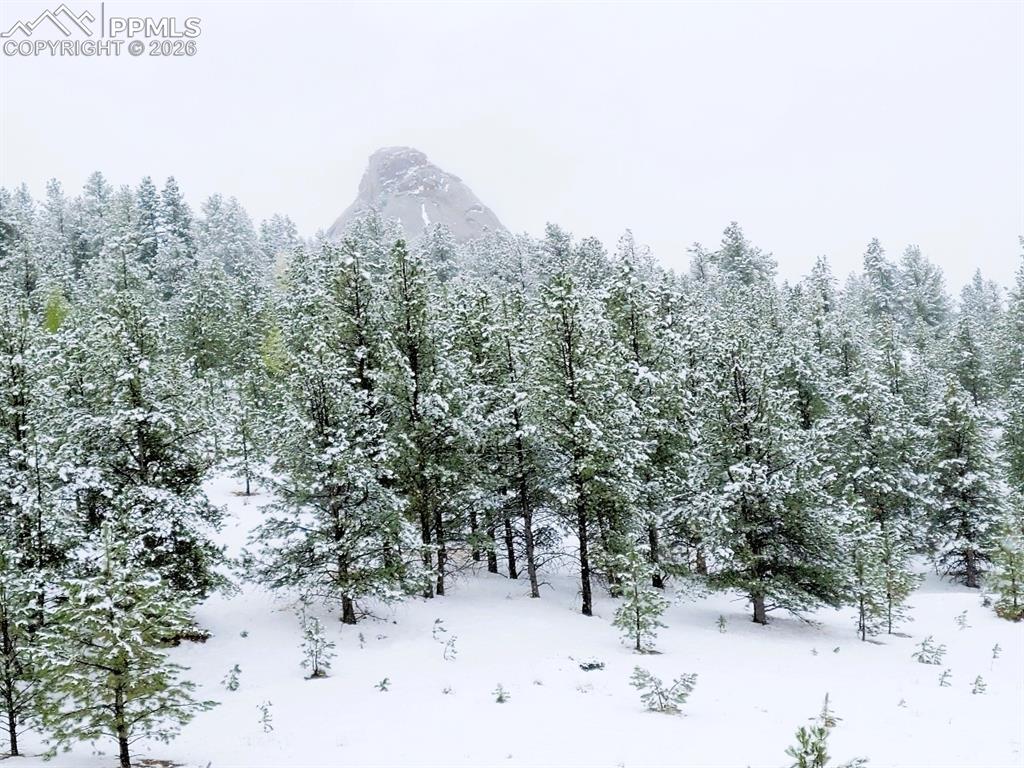 Image 8 of 24: View