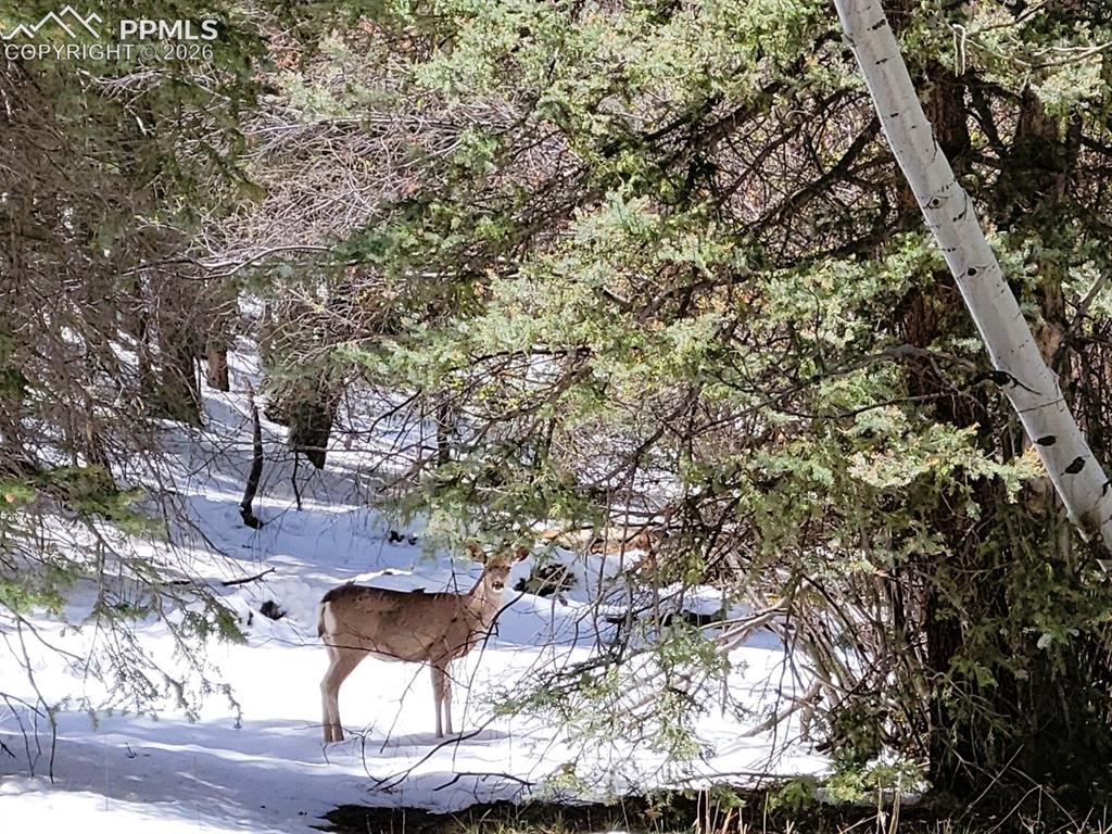Image 9 of 24: Other