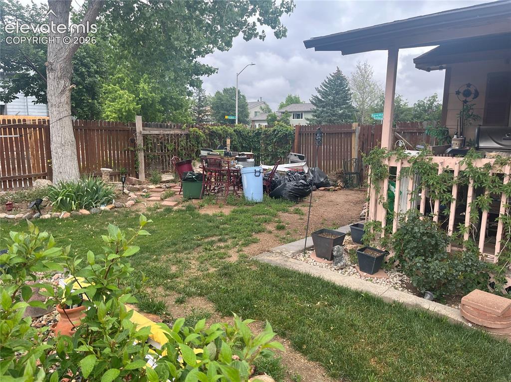 Image 4 of 11: Yard