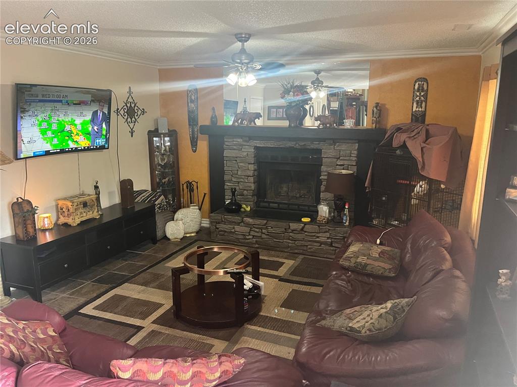 Image 7 of 11: Living Room