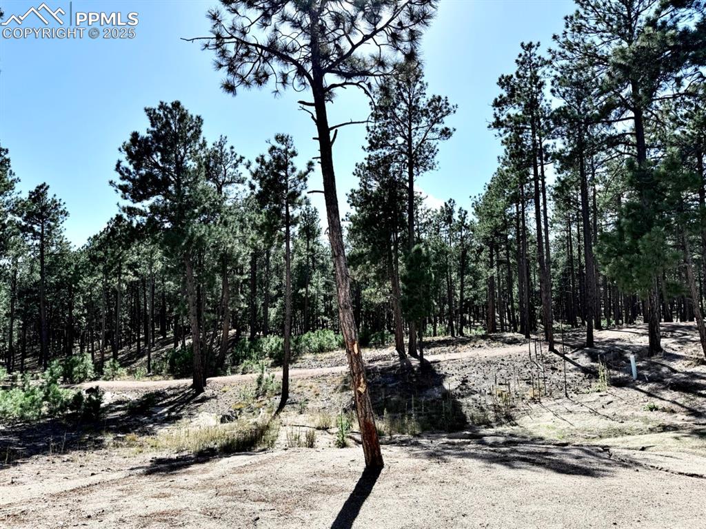 Image 30 of 33: Hiking Trails 