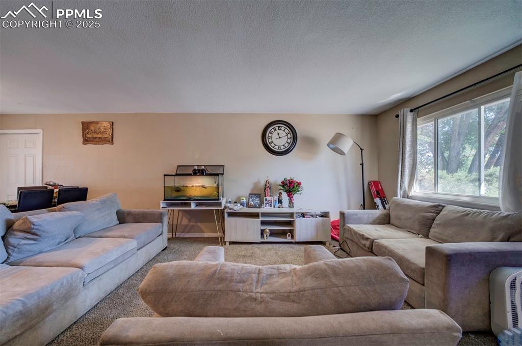 Image 16 of 44: Living Room