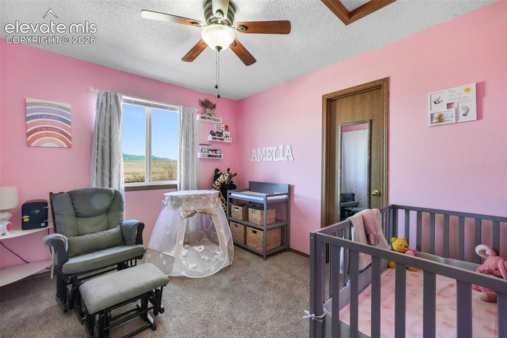 Image 21 of 50: Spacious room featuring a large window, textured carpeting, a ceiling fan w