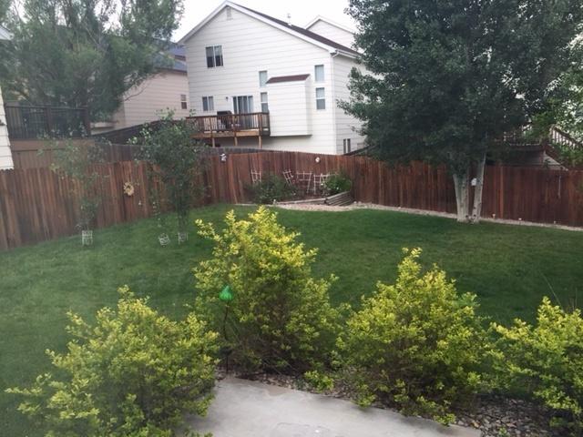 Image 17 of 18: No Description Available