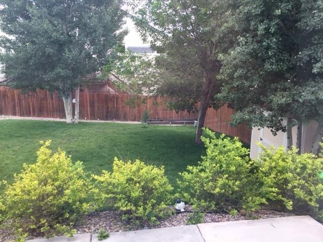 Image 18 of 18: No Description Available