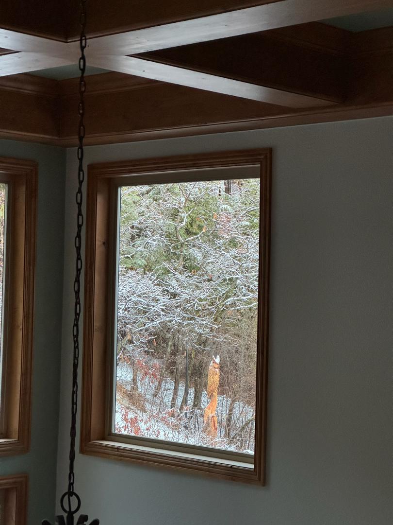 Image 29 of 50: No Description Available