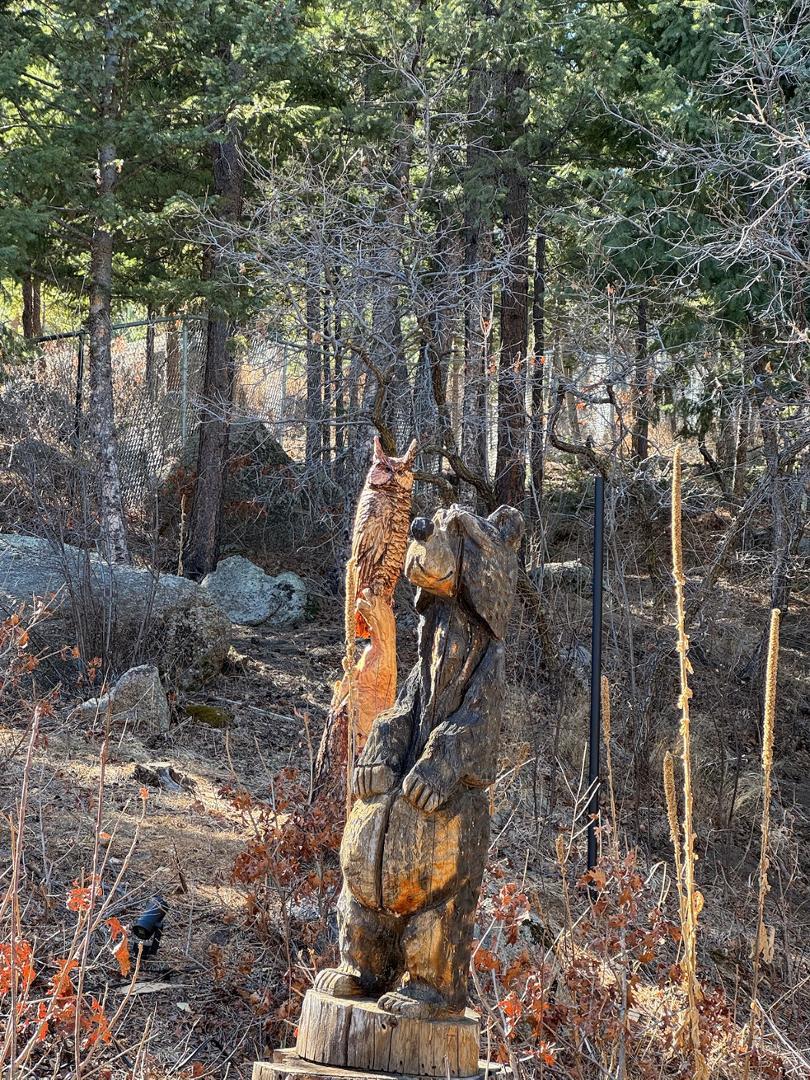 Image 30 of 50: No Description Available