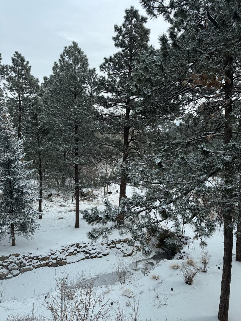 Image 8 of 50: No Description Available