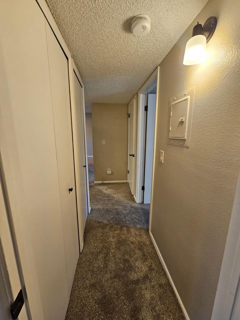 Image 27 of 38: No Description Available