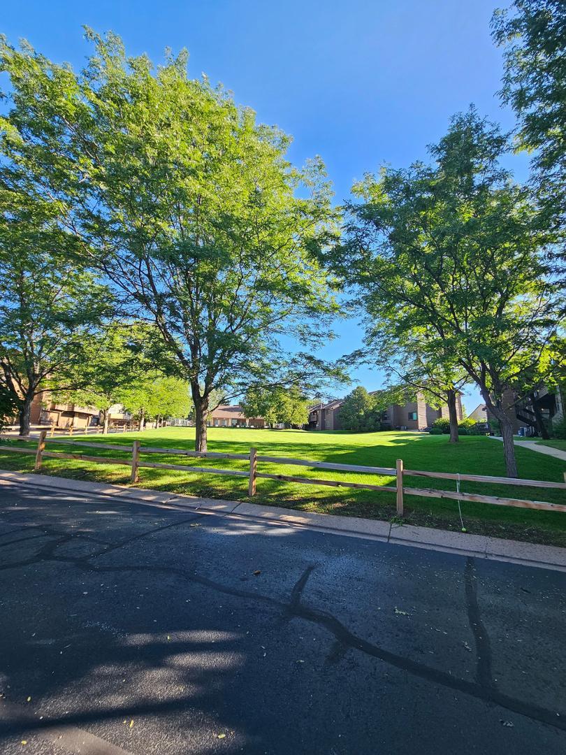 Image 34 of 38: No Description Available