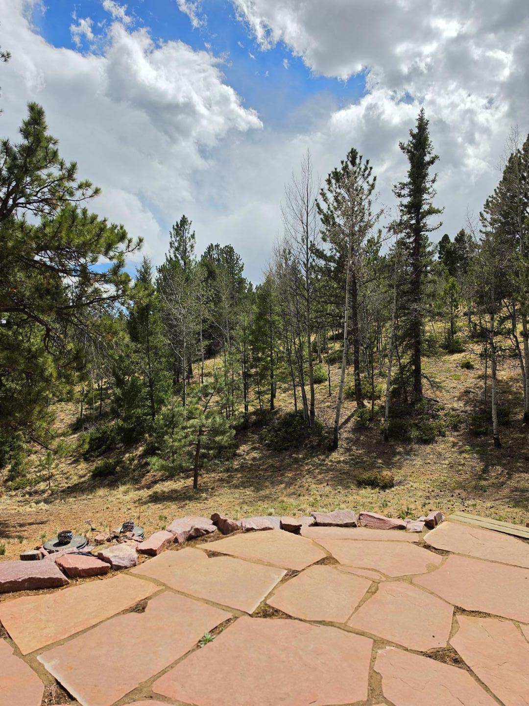 Image 10 of 25: No Description Available