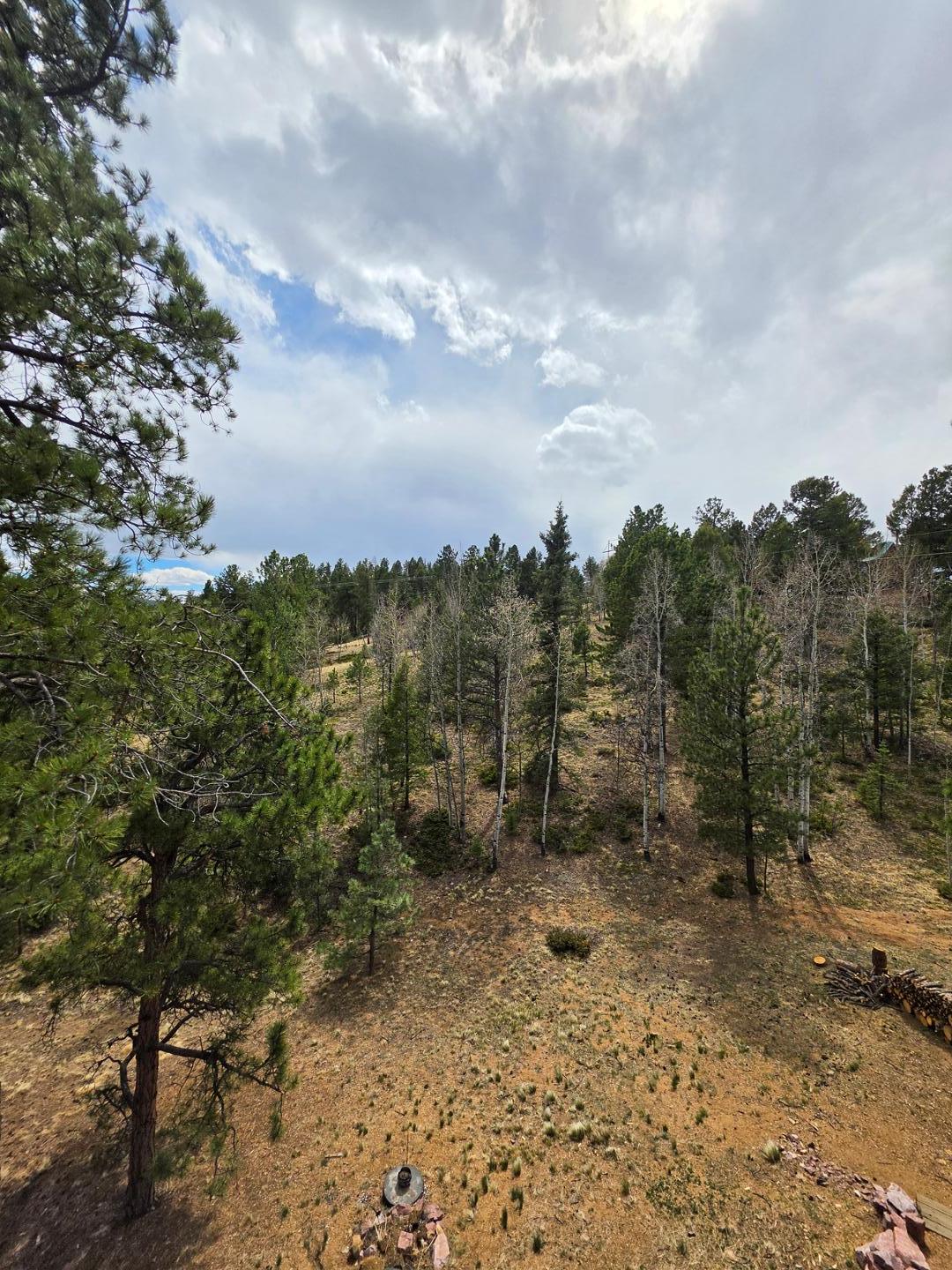 Image 2 of 25: No Description Available