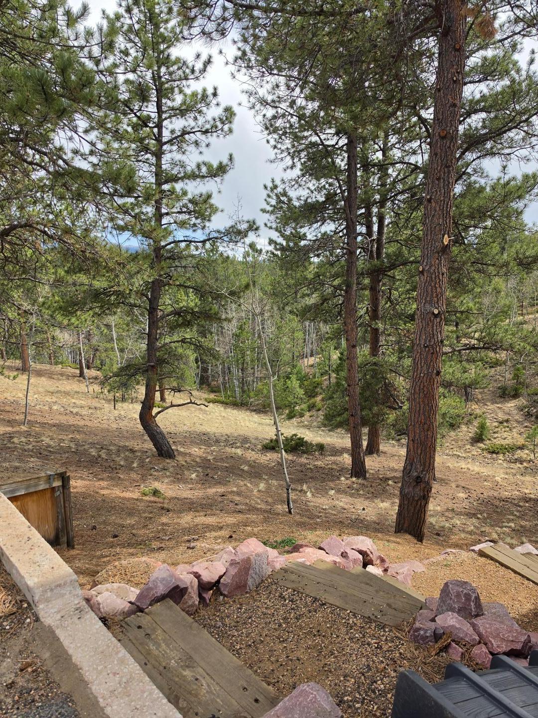 Image 23 of 25: No Description Available