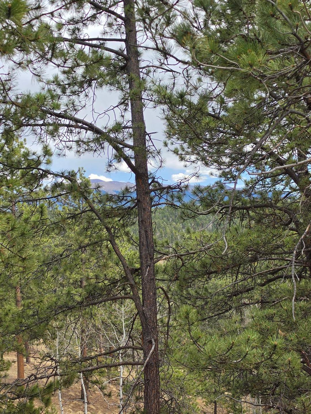 Image 3 of 25: No Description Available