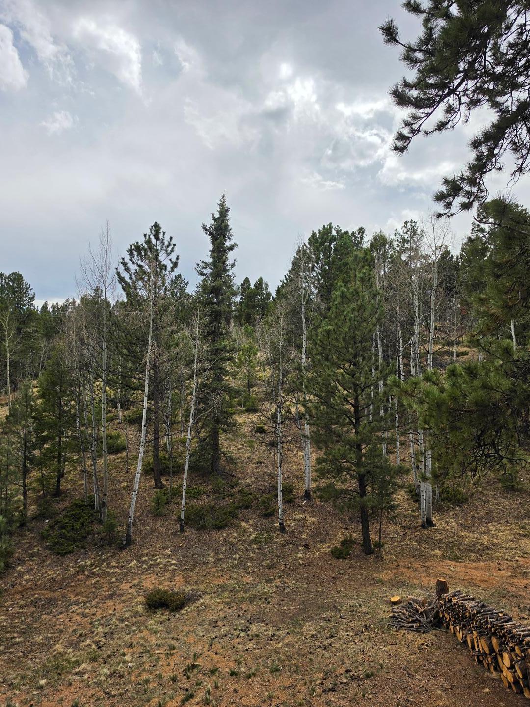 Image 9 of 25: No Description Available